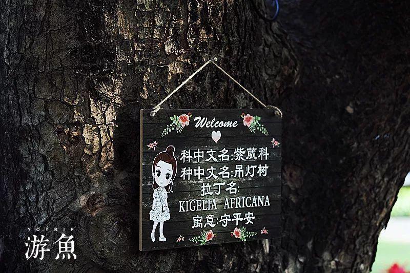 十年之后,林俊杰再唱《美人鱼》!新倩女幽魂新职业真有排面