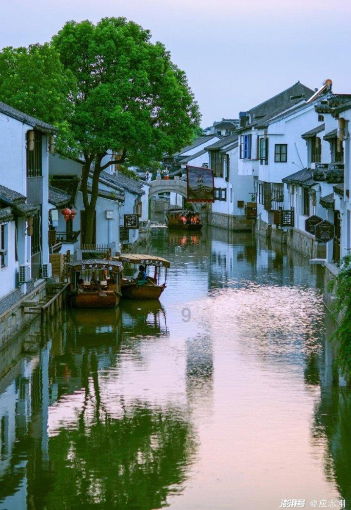 太阳花照亮致富幸福路